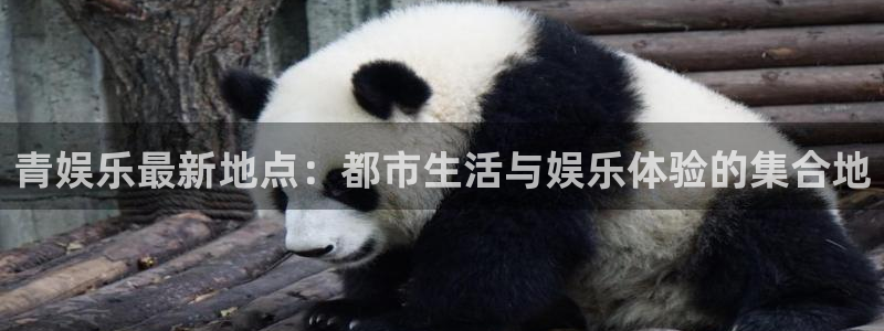 蓝图娱乐平台：青娱乐最新地点：都市生活与娱乐体验的集合地