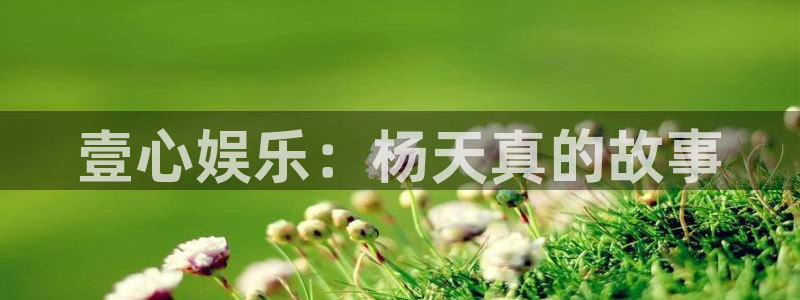 蓝图娱乐：壹心娱乐：杨天真的故事