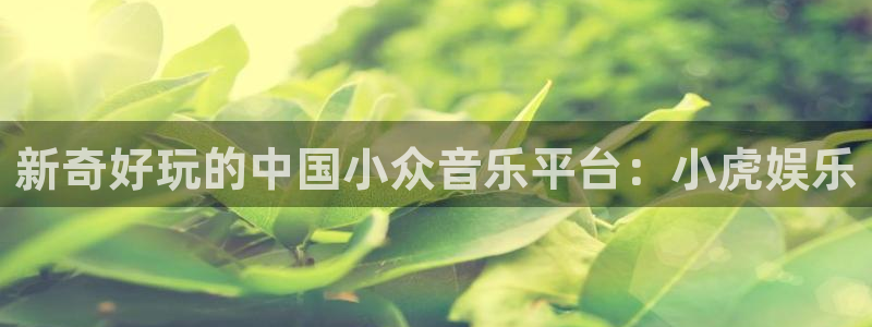 蓝图娱乐平台：新奇好玩的中国小众音乐平台：小虎娱乐