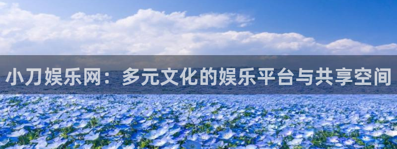 蓝图娱乐：小刀娱乐网：多元文化的娱乐平台与共享空间