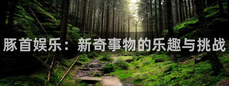 蓝图娱乐：豚首娱乐：新奇事物的乐趣与挑战