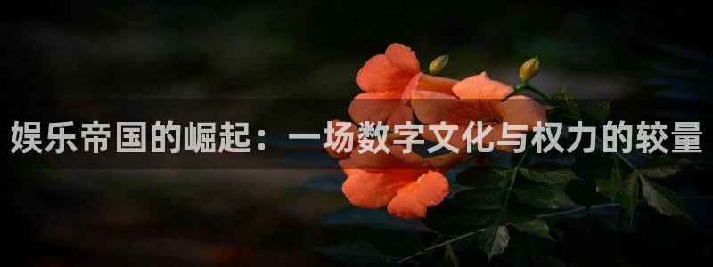 蓝图娱乐平台主管：娱乐帝国的崛起：一场数字文化与权力的较量