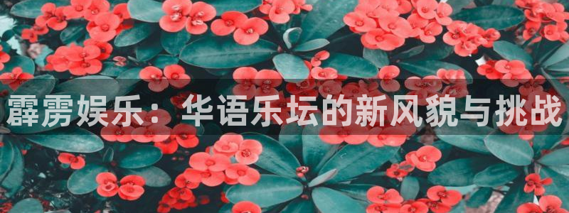 蓝图娱乐官网入口：霹雳娱乐：华语乐坛的新风貌与挑战