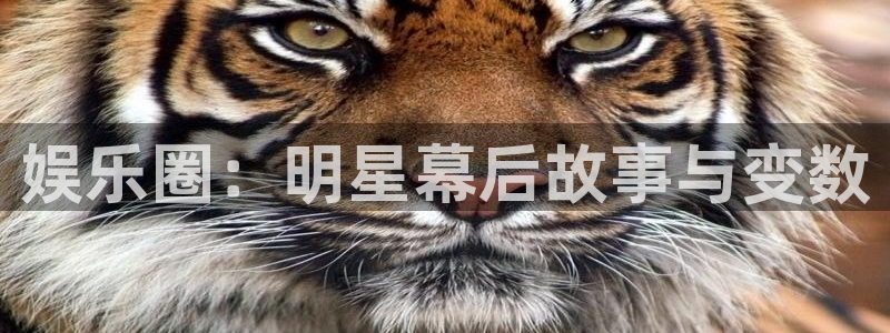 蓝图娱乐平台：娱乐圈：明星幕后故事与变数