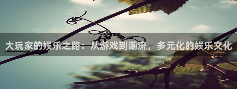蓝图娱乐官网入口：大玩家的娱乐之路：从游戏到潮流，多元化的娱乐文化