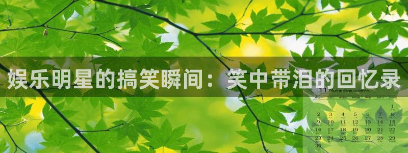 蓝图娱乐平台：娱乐明星的搞笑瞬间：笑中带泪的回忆录