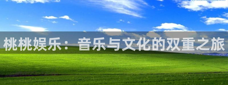 蓝图娱乐：桃桃娱乐：音乐与文化的双重之旅