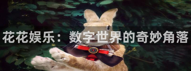 蓝图娱乐官网入口：花花娱乐：数字世界的奇妙角落