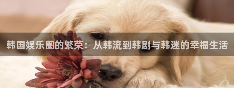 蓝图娱乐：韩国娱乐圈的繁荣：从韩流到韩剧与韩迷的幸福生活